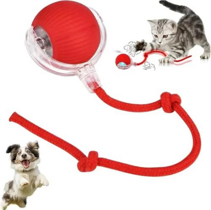 Automatic Cat Chasing Toy – Interactive Smart Toy for Active & Happy Cats